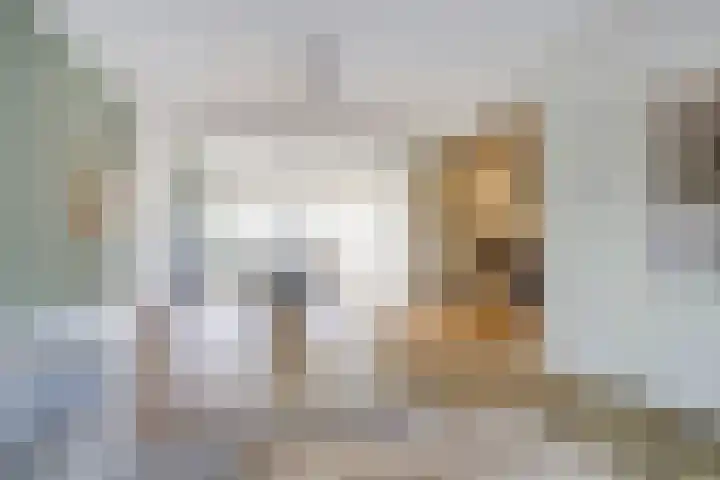 Dr. A. Zijlmansstraat 12 Bladel thumbnail 8