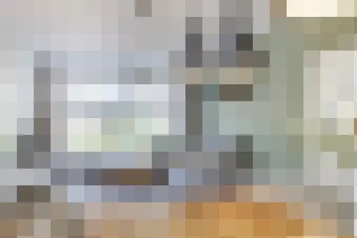 Dr. A. Zijlmansstraat 12 Bladel thumbnail 9