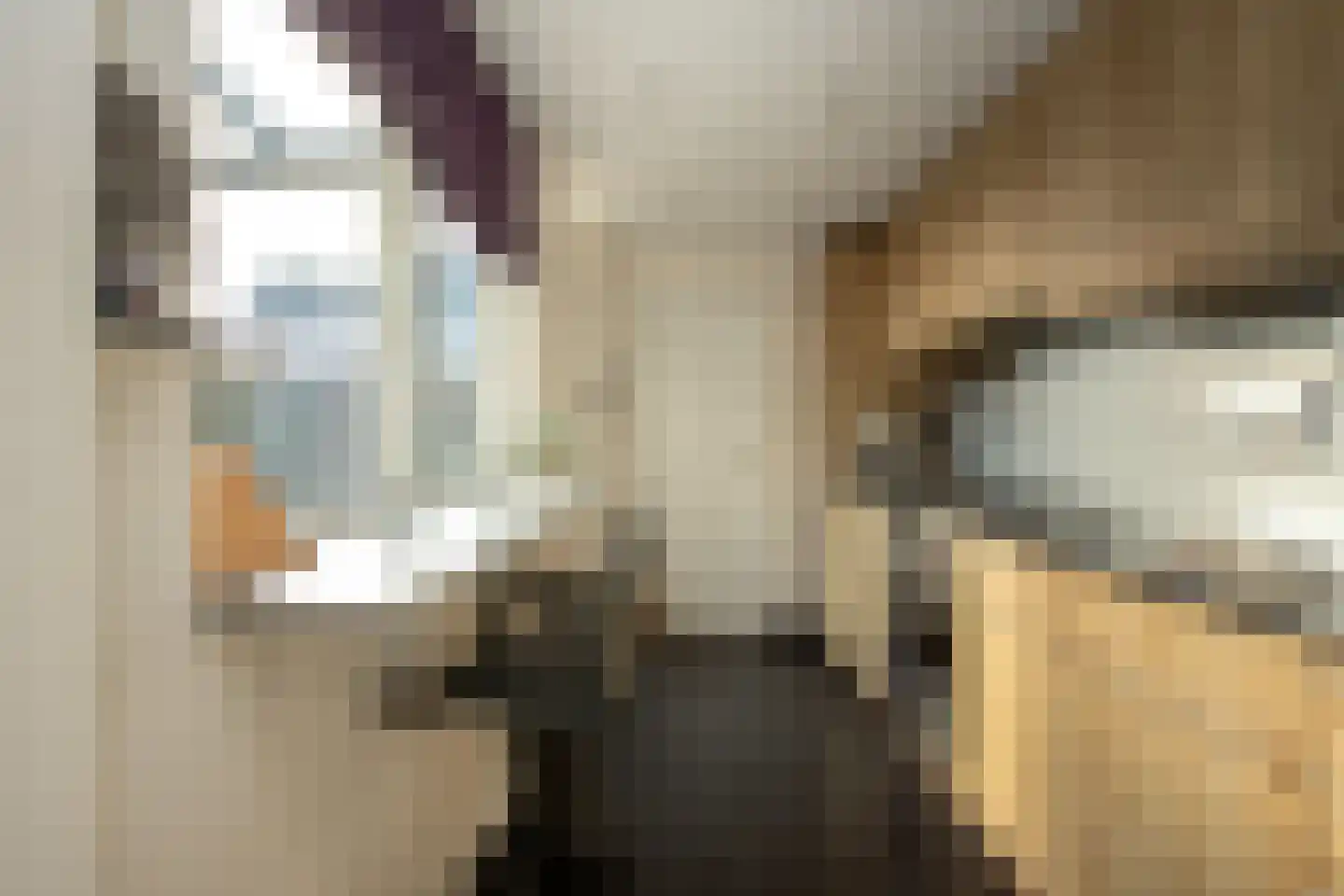 Dr. A. Zijlmansstraat 20 Bladel thumbnail 10