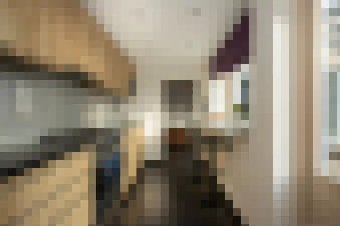 Dr. A. Zijlmansstraat 20 Bladel thumbnail 11