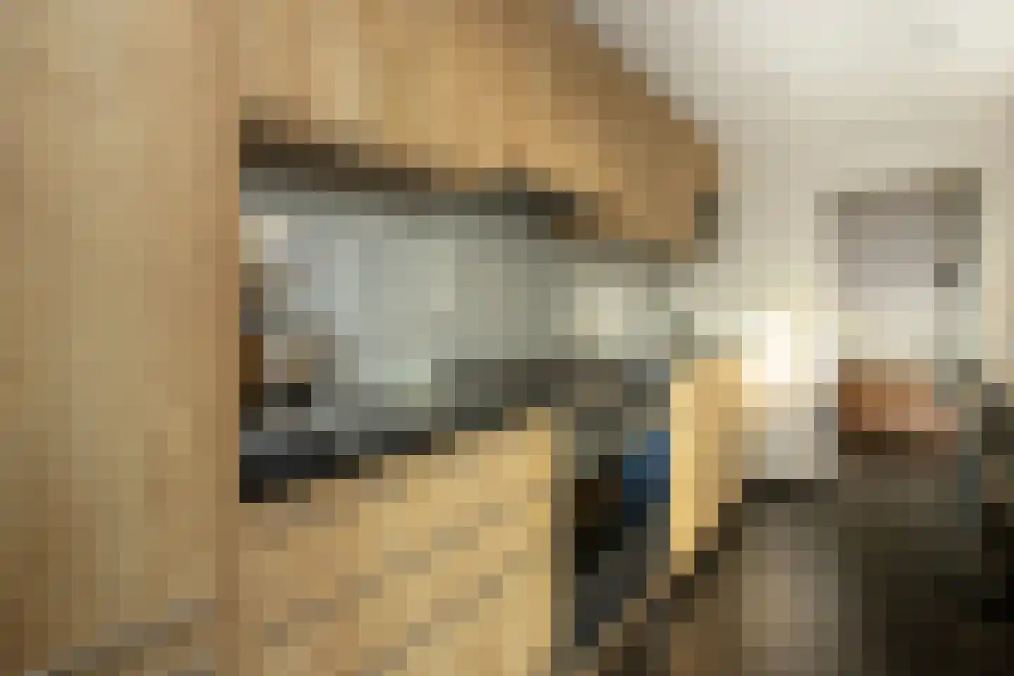 Dr. A. Zijlmansstraat 20 Bladel thumbnail 12