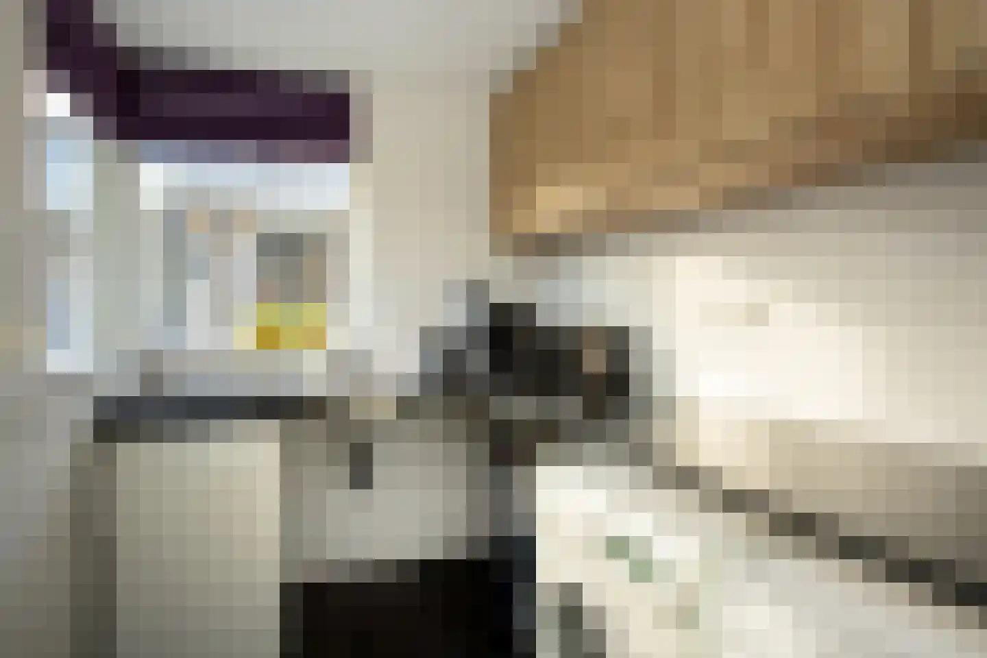 Dr. A. Zijlmansstraat 20 Bladel thumbnail 13