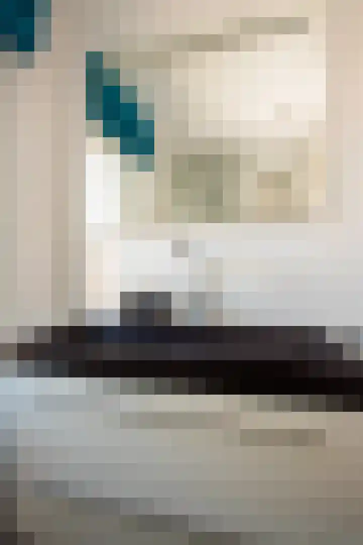 Dr. A. Zijlmansstraat 20 Bladel thumbnail 18