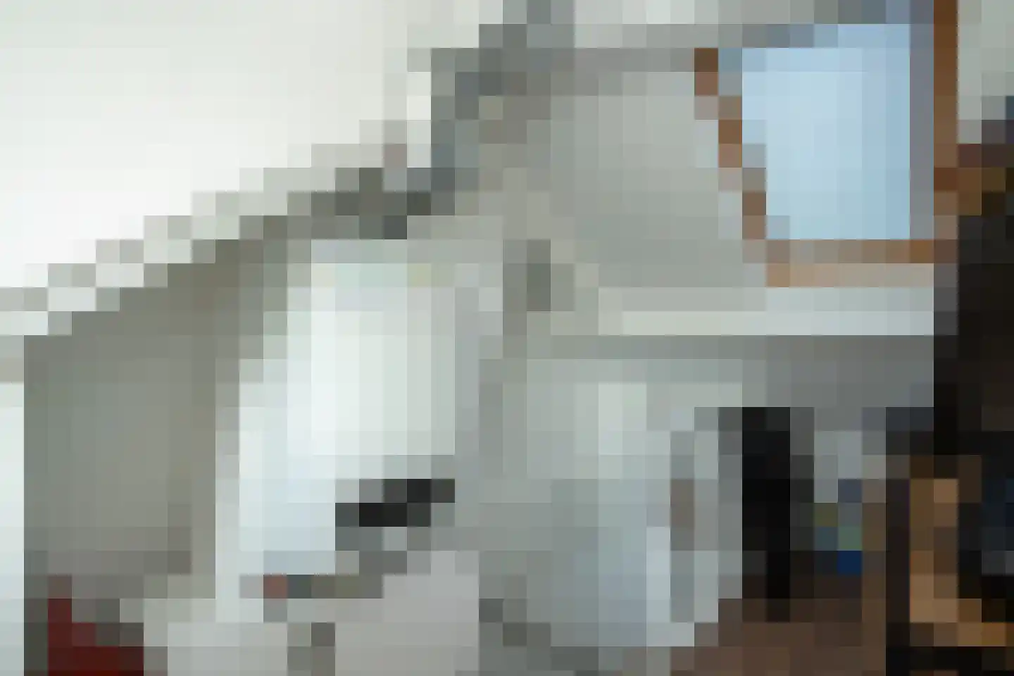 Dr. A. Zijlmansstraat 20 Bladel thumbnail 27