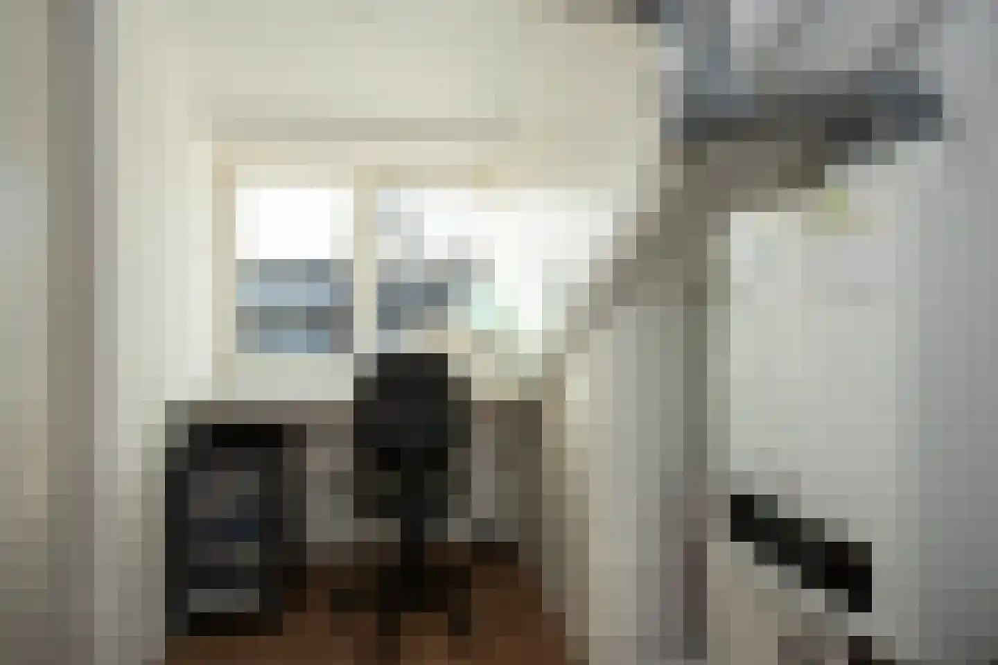 Dr. A. Zijlmansstraat 20 Bladel thumbnail 28