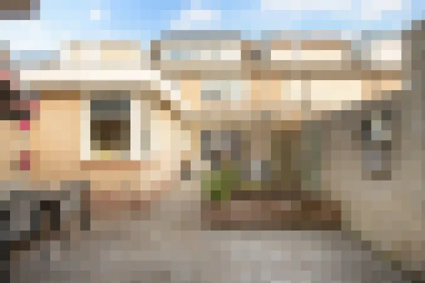 Dr. A. Zijlmansstraat 20 Bladel thumbnail 32