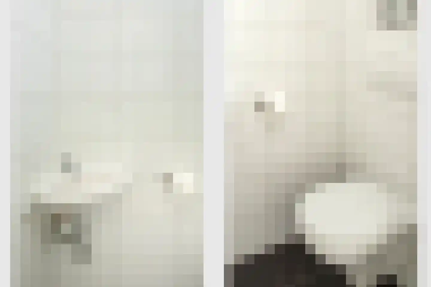 Dr. A. Zijlmansstraat 20 Bladel thumbnail 4