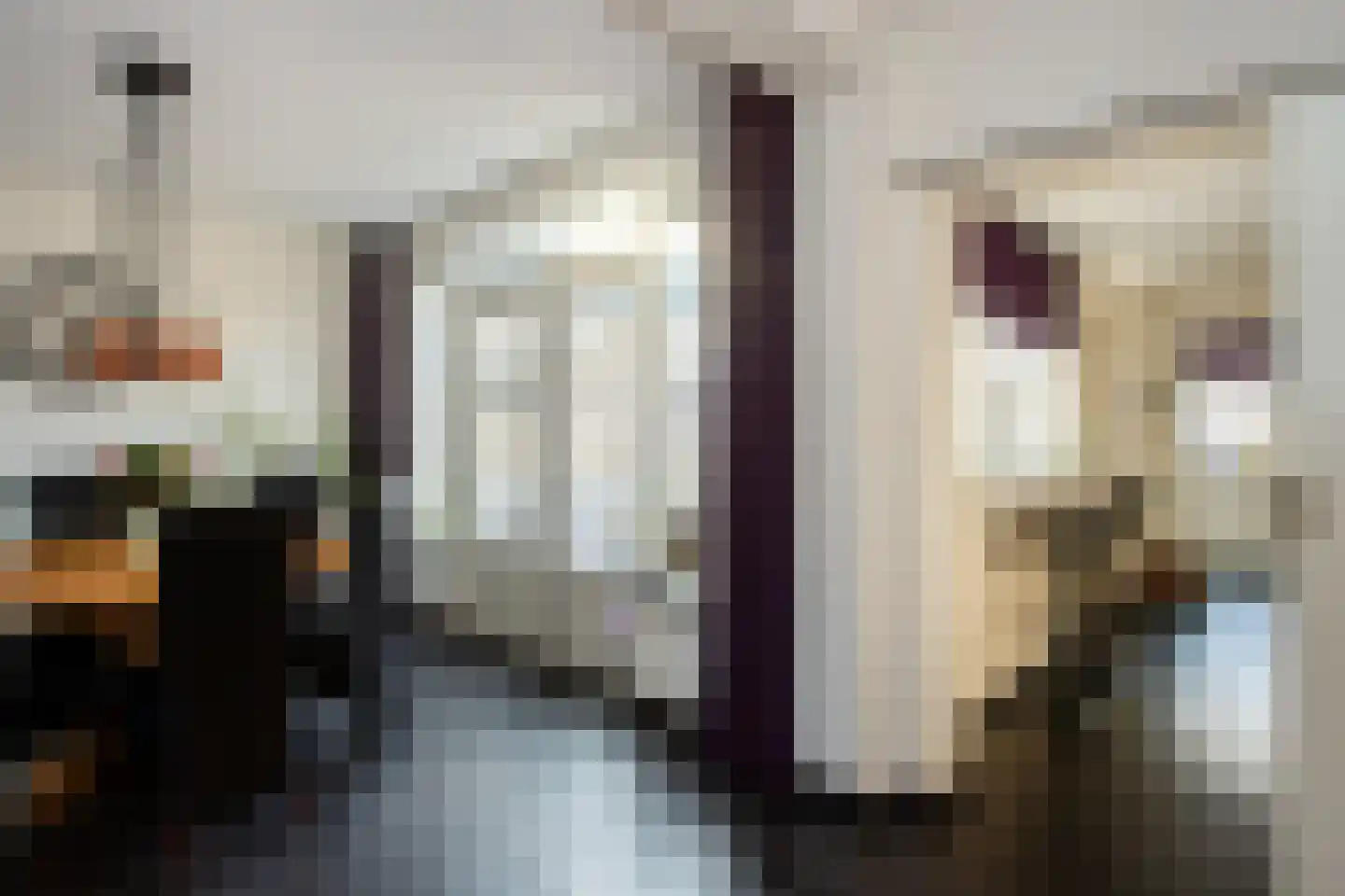 Dr. A. Zijlmansstraat 20 Bladel thumbnail 9