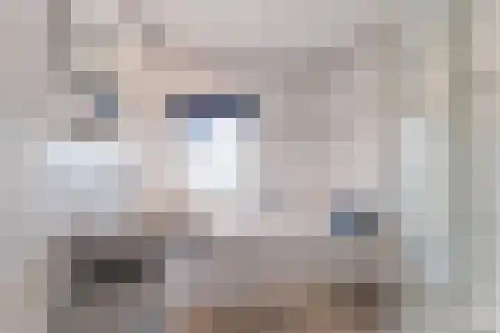 Dr. A. Zijlmansstraat 46 Bladel thumbnail 30