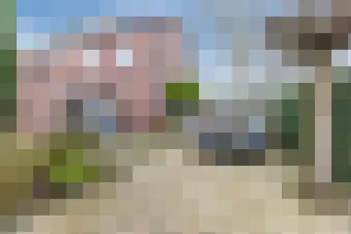 Dr. A. Zijlmansstraat 46 Bladel thumbnail 34