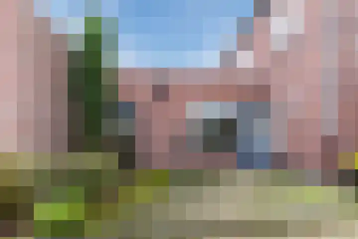 Dr. A. Zijlmansstraat 46 Bladel thumbnail 35