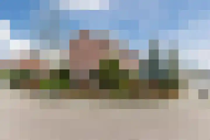 Dr. A. Zijlmansstraat 46 Bladel thumbnail 40