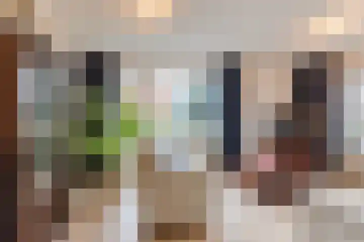 Dr. A. Zijlmansstraat 46 Bladel thumbnail 6