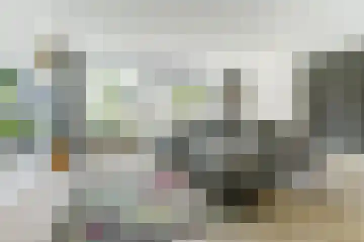 Dr. A. Zijlmansstraat 70 Bladel thumbnail 16