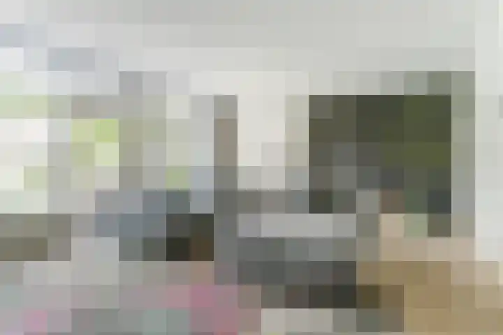 Dr. A. Zijlmansstraat 70 Bladel thumbnail 17
