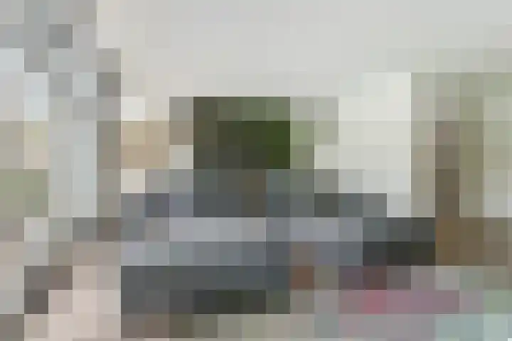 Dr. A. Zijlmansstraat 70 Bladel thumbnail 18