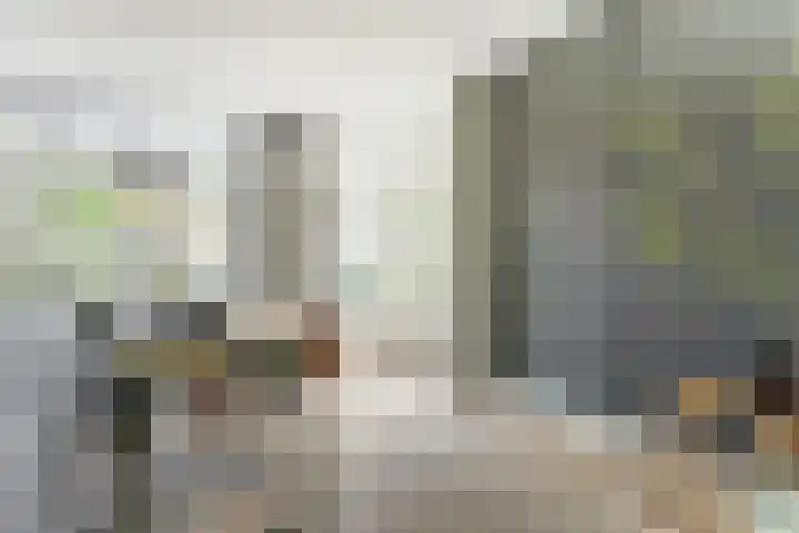 Dr. A. Zijlmansstraat 70 Bladel thumbnail 21