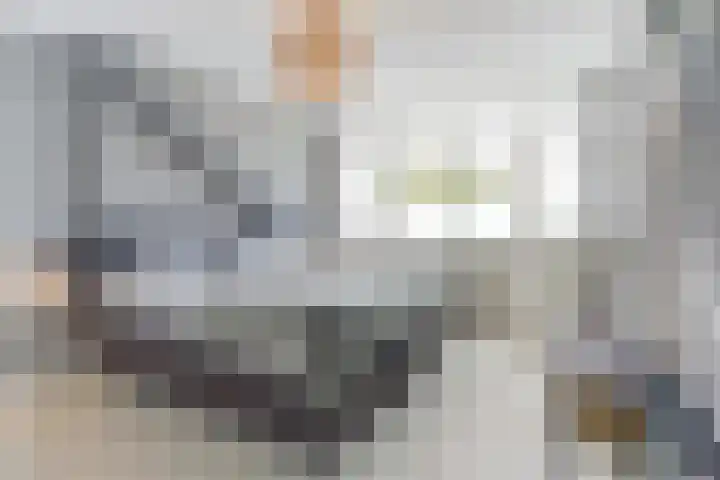 Dr. A. Zijlmansstraat 70 Bladel thumbnail 33
