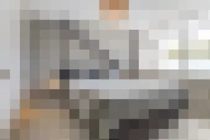 Dr. A. Zijlmansstraat 70 Bladel thumbnail 34