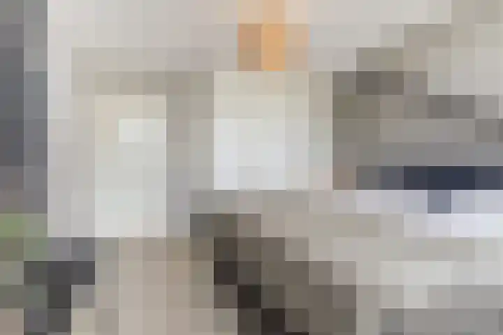 Dr. A. Zijlmansstraat 70 Bladel thumbnail 35