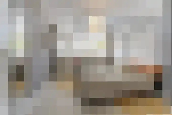 Dr. A. Zijlmansstraat 70 Bladel thumbnail 36