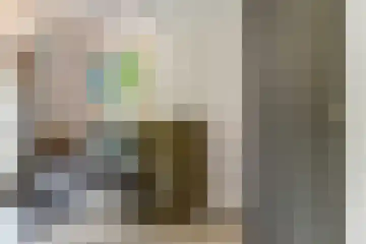Dr. A. Zijlmansstraat 70 Bladel thumbnail 39