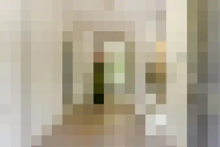 Dr. A. Zijlmansstraat 70 Bladel thumbnail 4