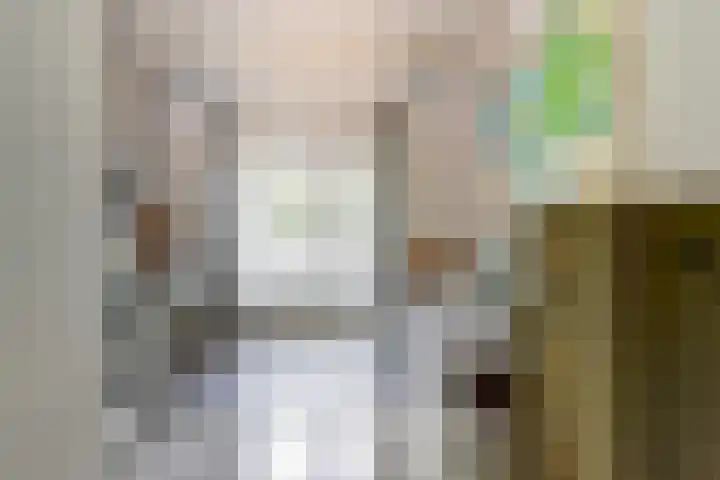 Dr. A. Zijlmansstraat 70 Bladel thumbnail 40