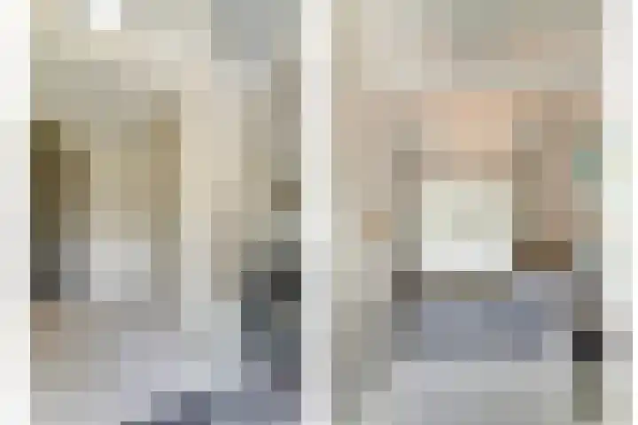 Dr. A. Zijlmansstraat 70 Bladel thumbnail 42