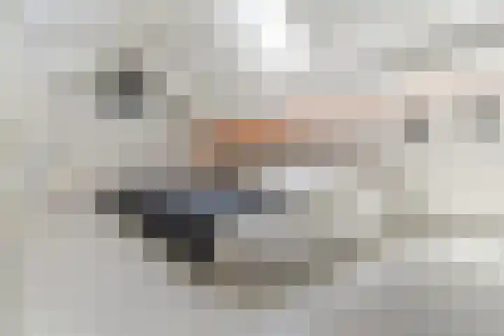 Dr. A. Zijlmansstraat 70 Bladel thumbnail 43