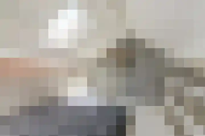 Dr. A. Zijlmansstraat 70 Bladel thumbnail 45