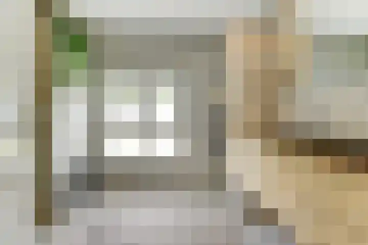 Dr. A. Zijlmansstraat 70 Bladel thumbnail 46