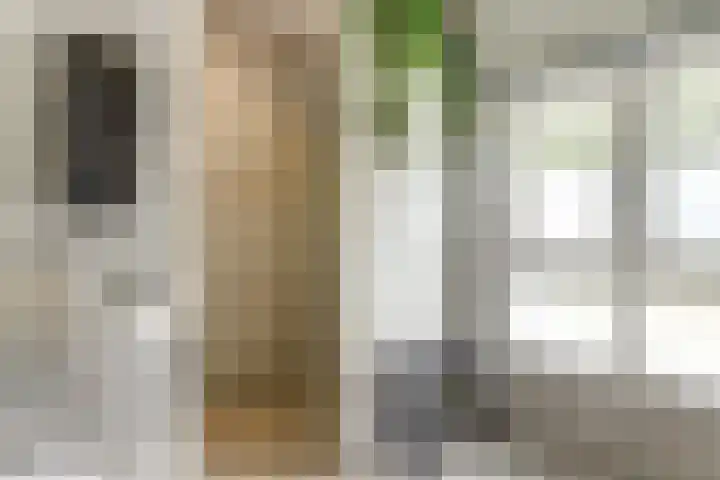 Dr. A. Zijlmansstraat 70 Bladel thumbnail 49