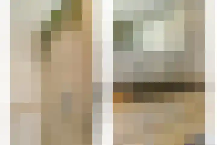 Dr. A. Zijlmansstraat 70 Bladel thumbnail 50