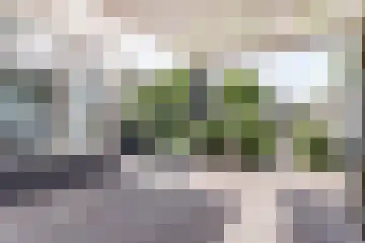 Dr. A. Zijlmansstraat 70 Bladel thumbnail 51