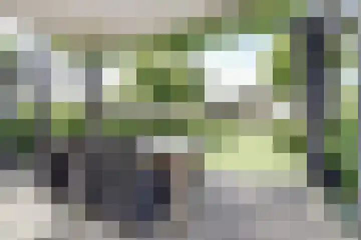 Dr. A. Zijlmansstraat 70 Bladel thumbnail 52
