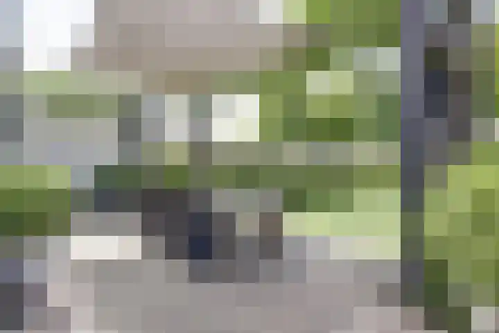 Dr. A. Zijlmansstraat 70 Bladel thumbnail 53
