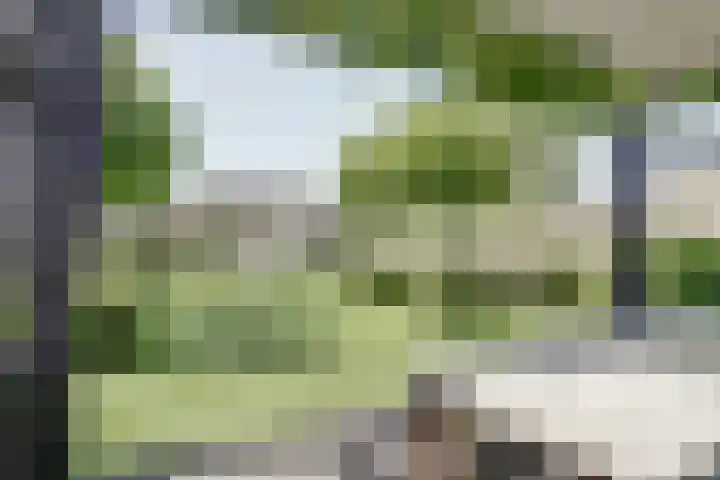 Dr. A. Zijlmansstraat 70 Bladel thumbnail 54