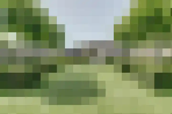 Dr. A. Zijlmansstraat 70 Bladel thumbnail 55