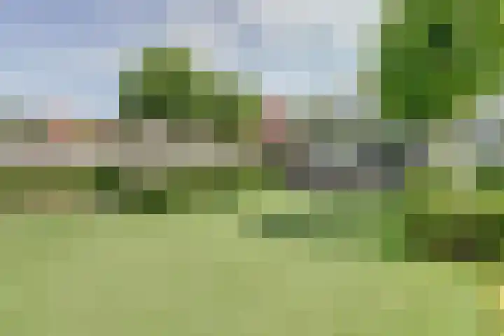 Dr. A. Zijlmansstraat 70 Bladel thumbnail 56