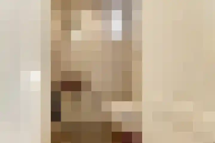Dr. A. Zijlmansstraat 70 Bladel thumbnail 6