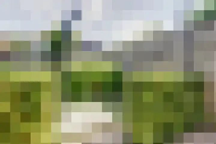Dr. A. Zijlmansstraat 70 Bladel thumbnail 60