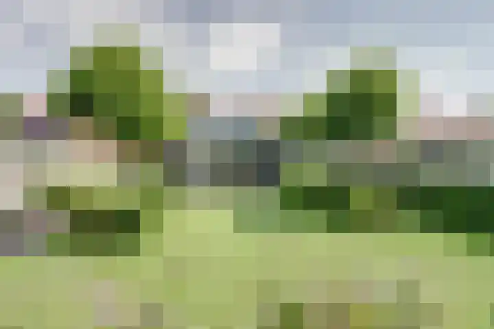Dr. A. Zijlmansstraat 70 Bladel thumbnail 61