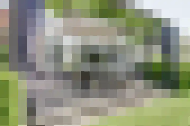 Dr. A. Zijlmansstraat 70 Bladel thumbnail 63