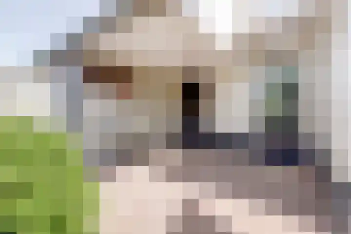Dr. A. Zijlmansstraat 70 Bladel thumbnail 64