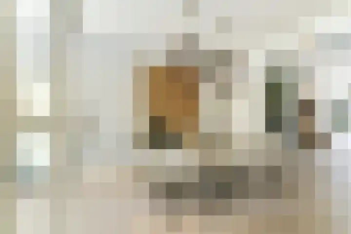 Dr. A. Zijlmansstraat 70 Bladel thumbnail 7