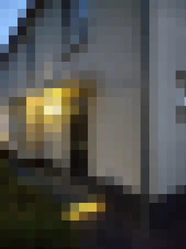 Dr. A. Zijlmansstraat 70 Bladel thumbnail 72
