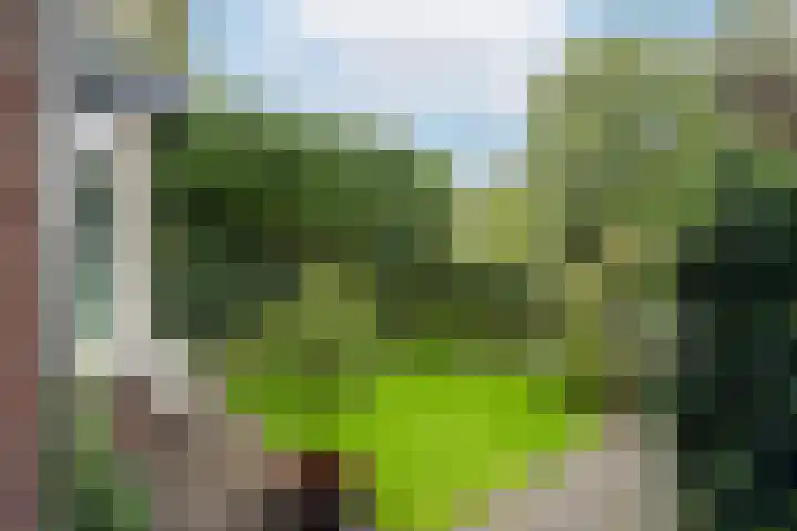 dr. Abraham Kuyperlaan 4 Bussum thumbnail 4