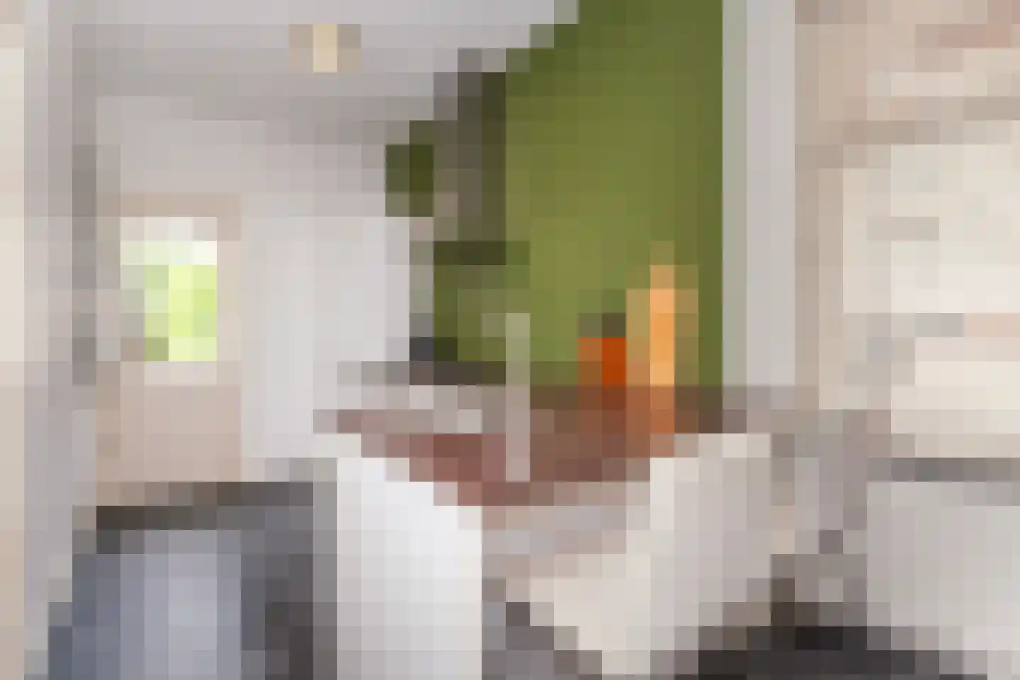 dr. Abraham Kuyperstraat 107 Vlaardingen thumbnail 25