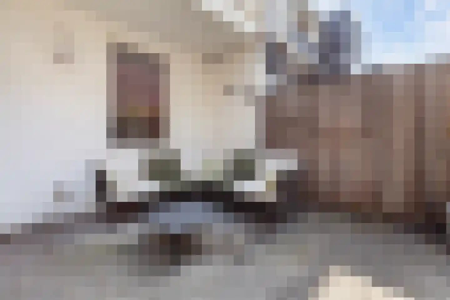dr. Abraham Kuyperstraat 107 Vlaardingen thumbnail 35
